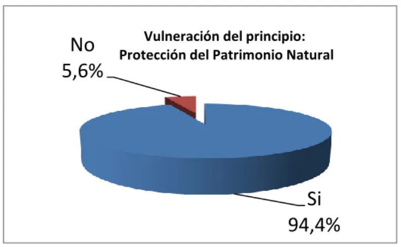 Figura No. 6 Principio Protección del Patrimonio Natural         