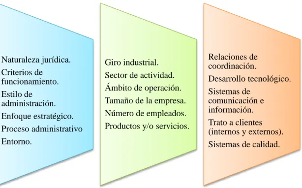 Figura 2 Alcance de la Auditoría Administrativa 