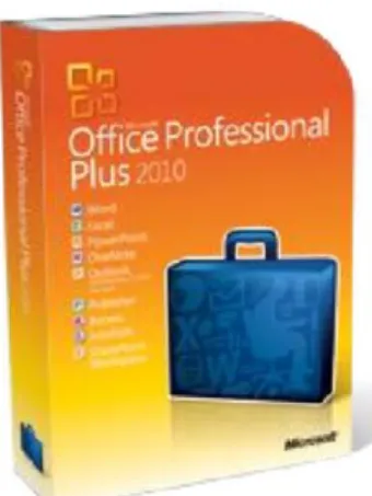 Figura 13 Office Professional 2010 