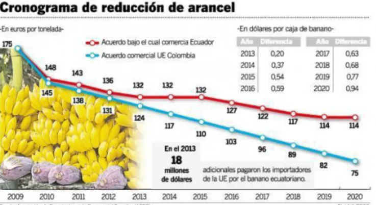 Gráfico 6  Infografía online 