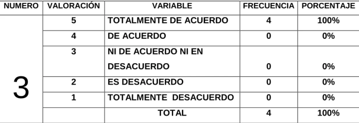 Gráfico Nº 11 