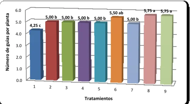 Figura  1.  Promedios  de  número  de  guías  por  planta,  en  el  cultivo  de  Sandía, en el cantón Santa Lucia, provincia Guayas, 2016