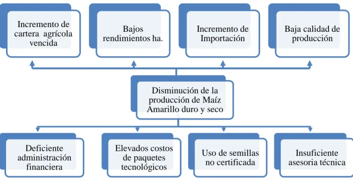 Figura 1. Árbol de problemas Elaborado por: La autora.    