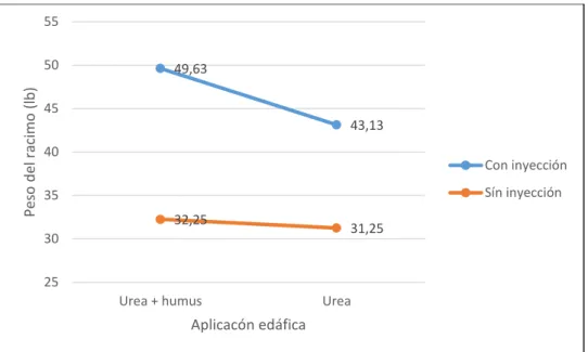 Gráfico N. 3 Interacción entre los factores inyección de soluciones  nutritivas al pseudotallo y aplicación edáfica de humivita + urea para 