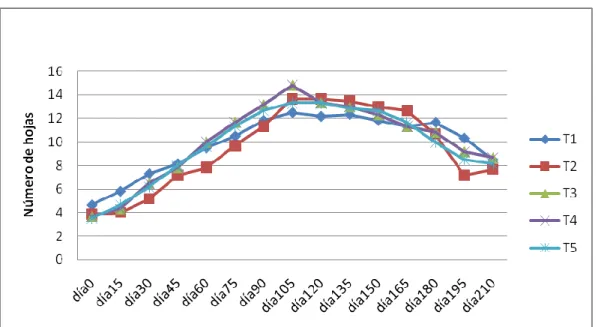 Figura 3. Emisión foliar (%) tomada cada 15 días. 