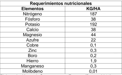 Cuadro 7 Requerimientos nutricionales del cultivo del maíz   Requerimientos nutricionales   Elementos  KG/HA  Nitrógeno  187  Fósforo  38  Potasio  192  Calcio  38  Magnesio  44  Azufre  22  Cobre  0,1  Zinc  0,3  Boro  0,2  Hierro  1,9  Manganeso  0,3  Mo