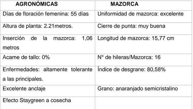 Cuadro 10 Características generales del hibrido de maíz Triunfo 