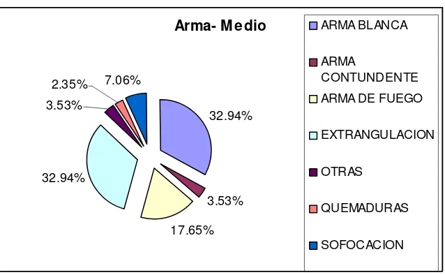 Figura Nº 5 