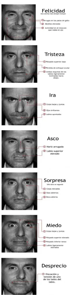 Figura 1.  Ejemplos de emociones a través de expresiones del rostro 