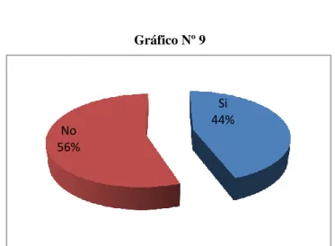 Gráfico Nº 9 