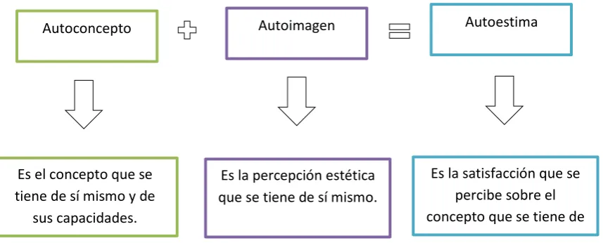 Figura 6: Condiciones para la proactividad 