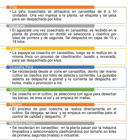 Figura 2. Procesos de producción  