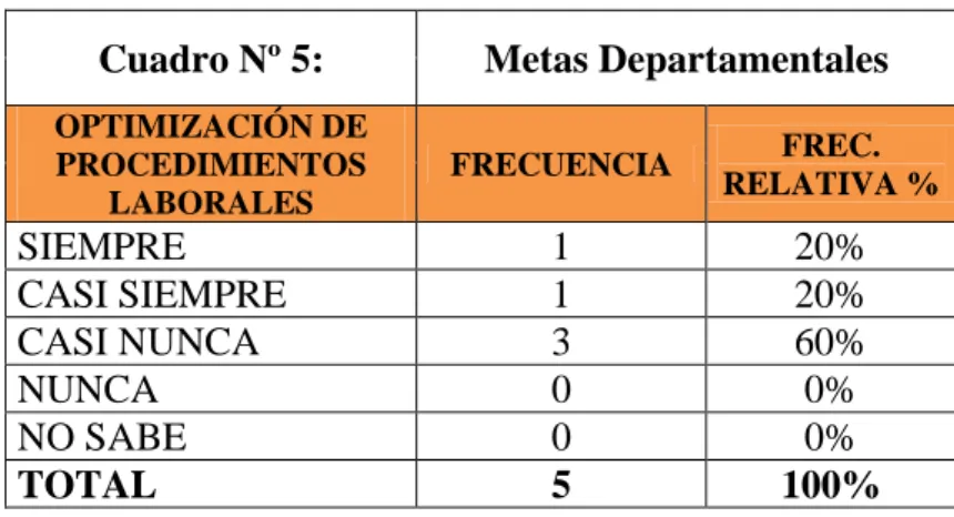 Cuadro Nº 5:  Metas Departamentales 
