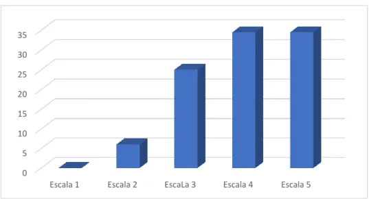GRÁFICO N.  12 
