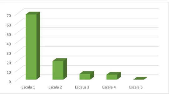 GRÁFICO N.  13 