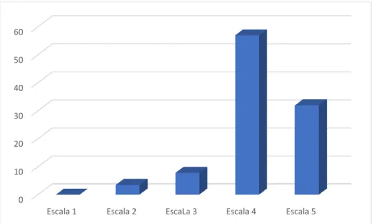 GRÁFICO N.  17 