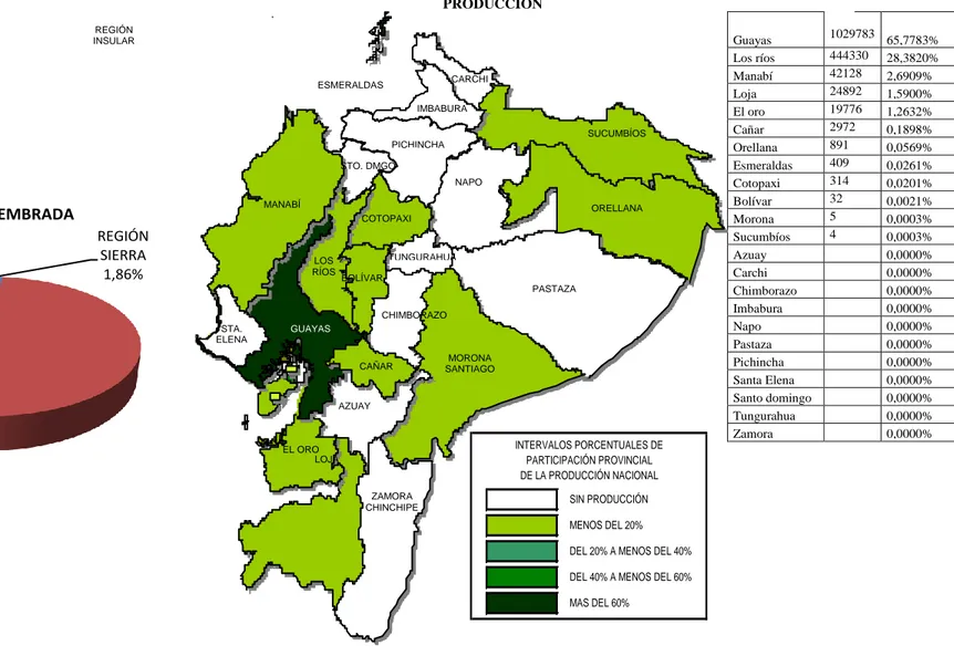 Figura 6. Porcentaje de superficie sembrada y producción, según región y provincia año 2016; tomado del Banco Central del Ecuador