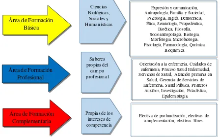 Figura 3. Modelo para análisis de los planes de estudio de los programas de enfermería de la ciudad de Bogotá D.C