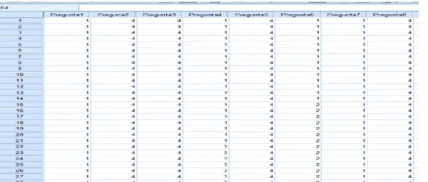 Tabla No. 13. Ingreso de Datos en SPSS 