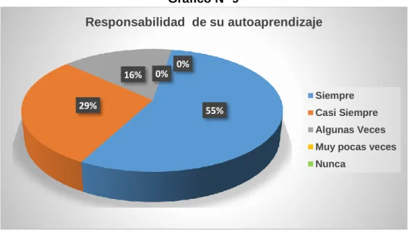 Gráfico Nº 9 