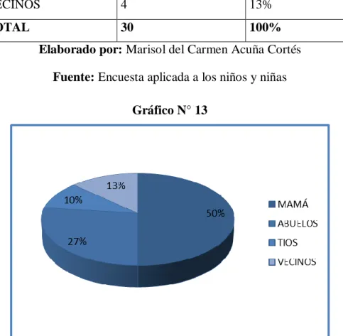 Gráfico N° 13 
