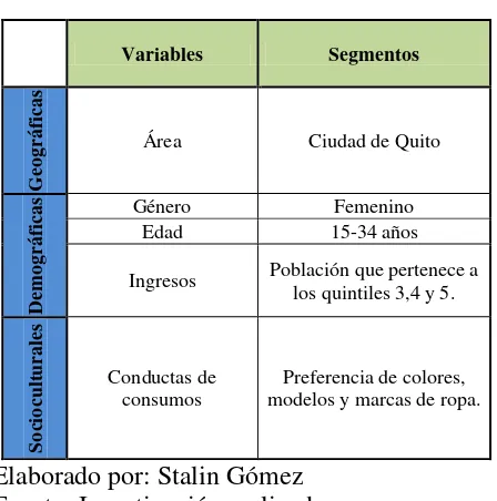 Tabla 5 VARIABLES DEL SEGMENTO 