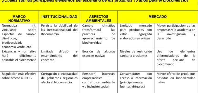 Cuadro 6. Principales elementos del escenario de los próximos 10 años 