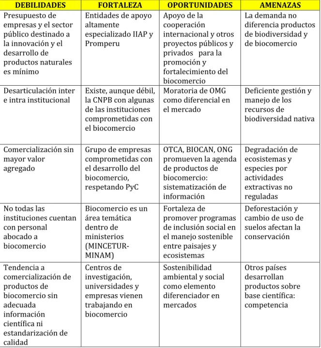 Cuadro 7. Diagnóstico FODA 