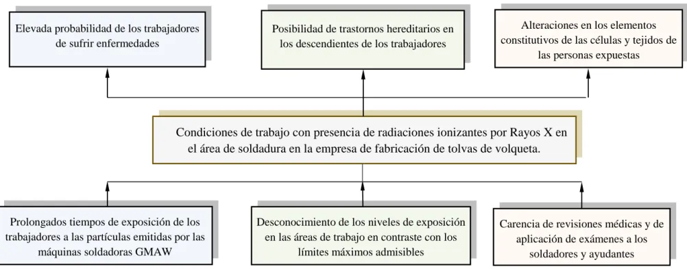 Gráfico 1: Relación Causa-Efecto. 