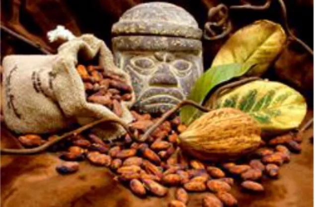 Figura 2.- origen del cacao 