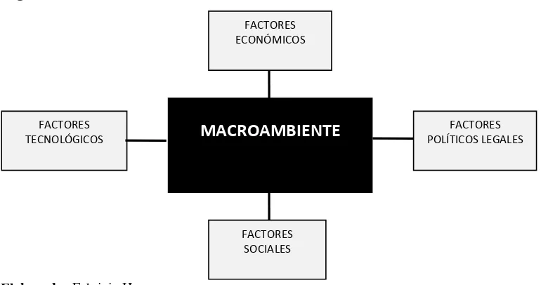 Figura 1.  Factores del Macroambiente 