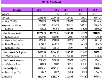 Tabla 12: Estado de Pérdidas y Ganancias Proyectado 
