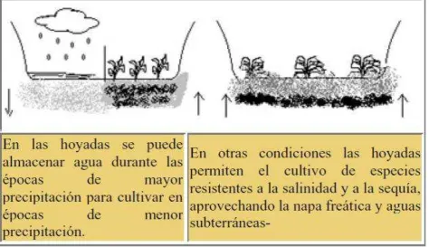 FIGURA 5. Hoyadas.  
