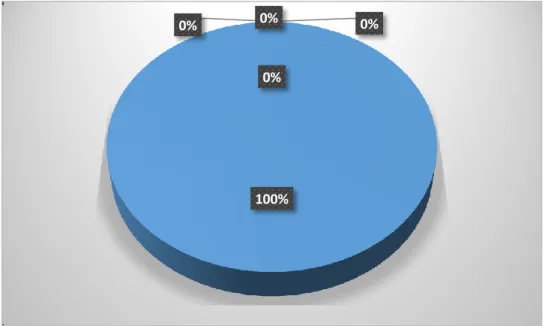 Gráfico No. 10  Taller para docentes 