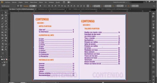 Gráfico Nº20. Índice de contenido 