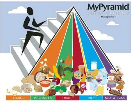 Figura 1: pirámide alimentaria donde se muestran los diferentes grupos de alimento y la actividad física recomendada para escolares