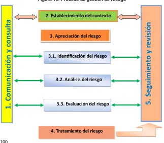 Figura 10: Proceso de gestión de Riesgo 
