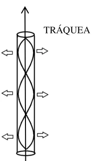 FIGURA 3:                                                                