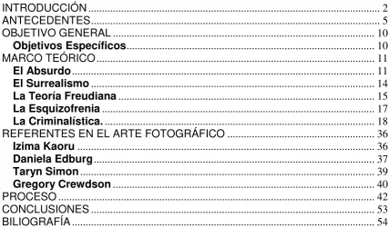 TABLA DE CONTENIDO 