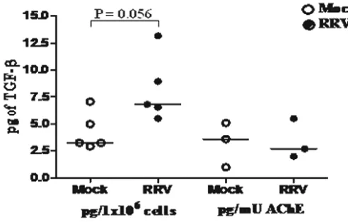 Figura 8.3.3. La infección por RV induce la liberación de TGF-1 asociada a la fracción 