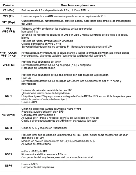 Tabla 1. Características y funciones de las proteínas de RV  (Estes, 2007; Franco MA, 2008) 