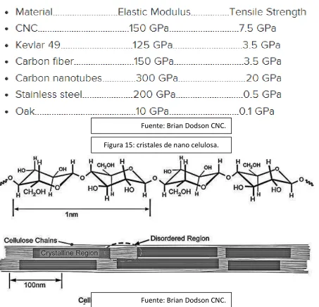 Figura 15: cristales de nano celulosa. 