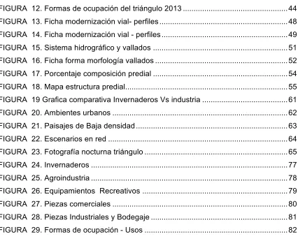 FIGURA  12. Formas de ocupación del triángulo 2013 ................................................