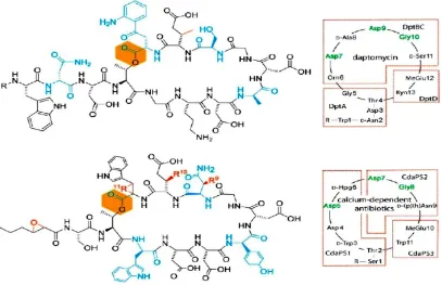 Figura 1. Estructuras químicas de los antibióticos del grupo de los lipopéptidos. 