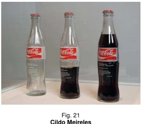 Fig. 21   Cildo Meireles 