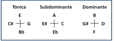 Fig 5: Ejes de Bartók 