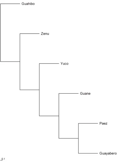 Figura 63 Cladograma método UPGMA + majority-rule consensus tree SISTEMA PGM1 