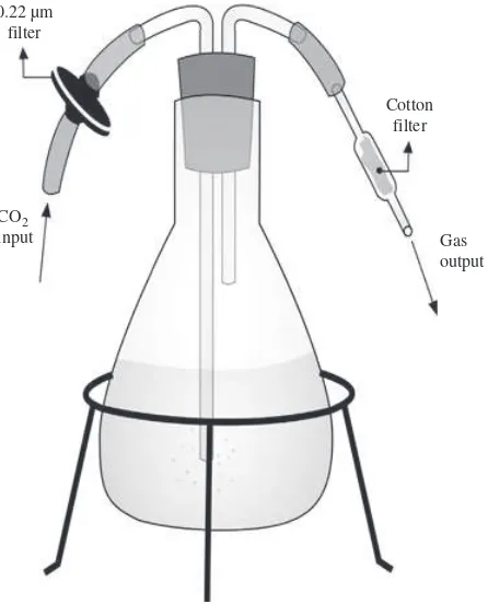 Figure 1 System designed(mini-bioreactor)forshake-ﬂaskliquidculture of Helicobacter pylori