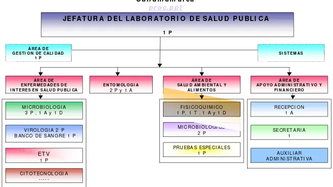 Fig. 3 Estructura organizacional del LSPC.   