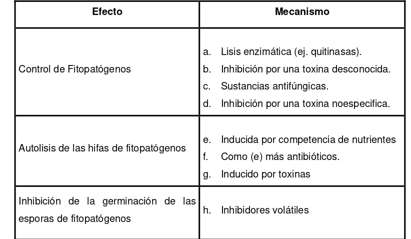 Tabla 3. Interacciones antagónicas entre Streptomyces y Fitopatógenos 